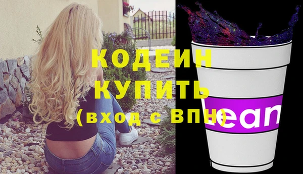 крисы Абаза