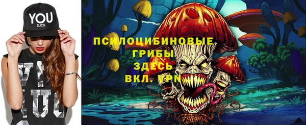 гидра Алзамай