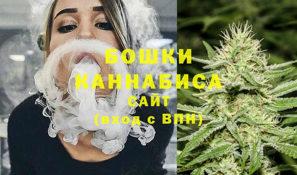 гашик Лагань
