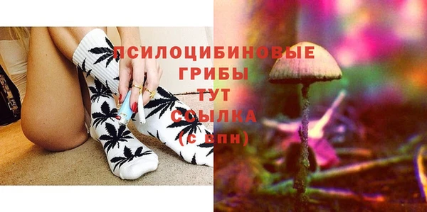гашик Лагань