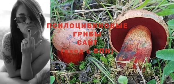 тгк Моршанск